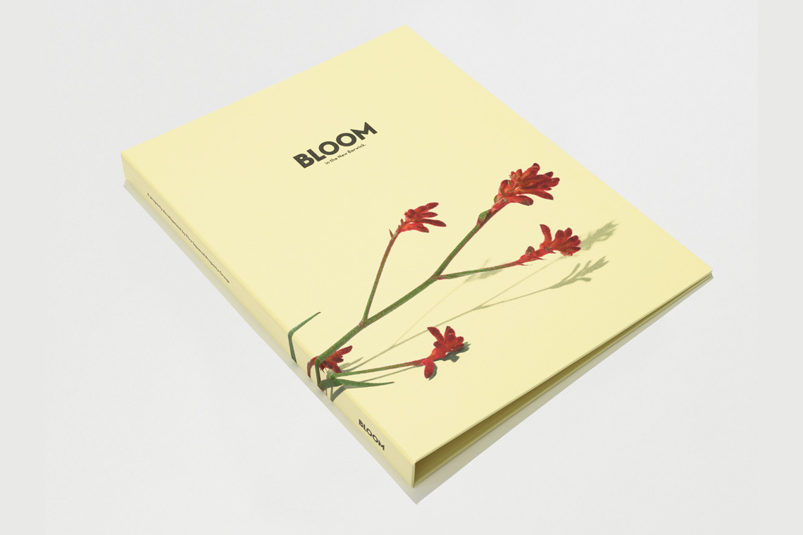 Project Images | Bloom